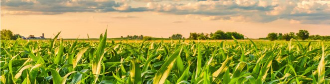 Farm & Field Photo Banner
