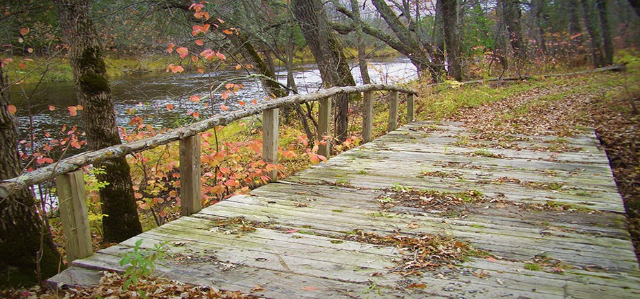 whiteface_bridge 