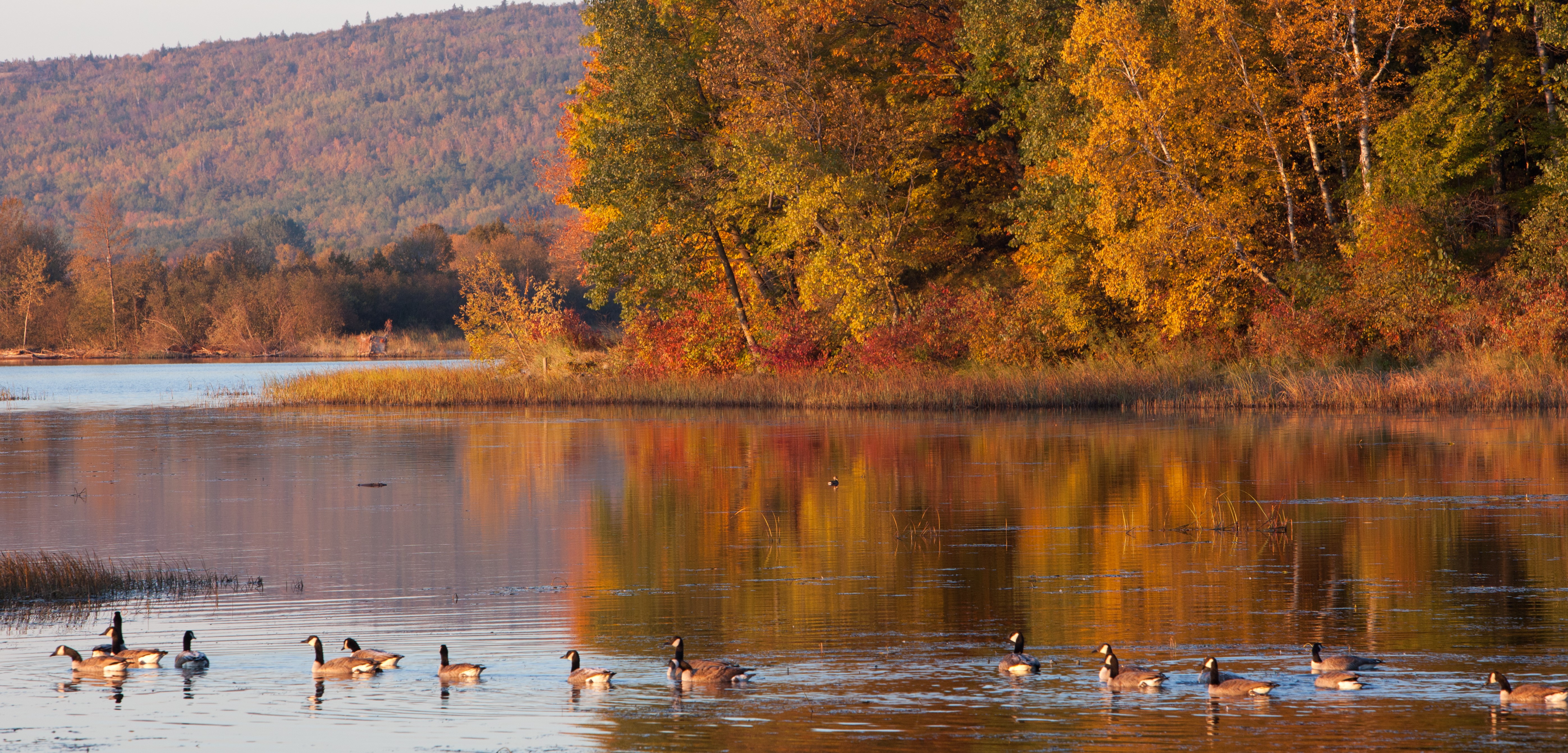  Fall Colors Lake Scene